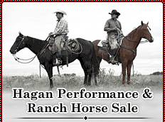 Hagan Horse Sale - Finished Performance & Ranch Horses For Sale