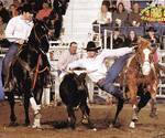 Thomas Hagan steer wrestling, Alistair hazes.
