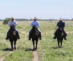 The Hagan boys on the black horses.